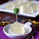 Champagne Jello Shots