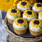Lemon Sunflower Cupcakes