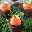 Carrot Patch Dirt Pudding Cups