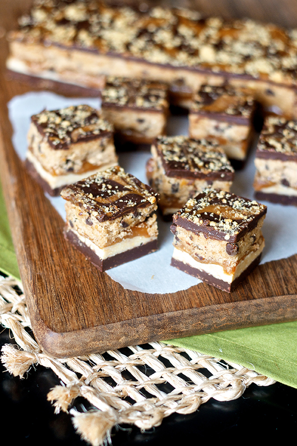 Chocolate Cookie Butter Cookie Dough Bars 7859 copy