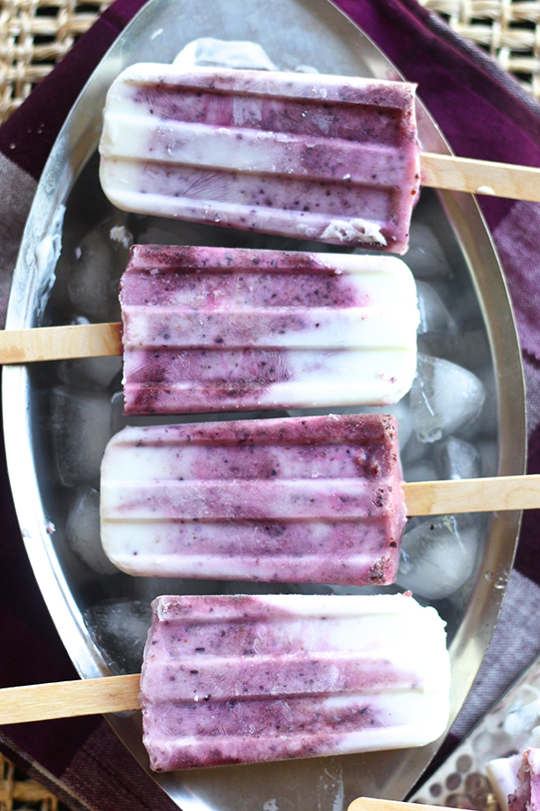 Blueberry Yogurt Popsicles 12439 copy